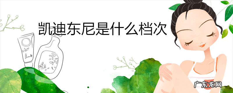 凯迪东尼是什么档次