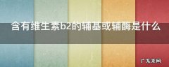 含有维生素b2的辅基或辅酶是什么,维生素b2是哪种辅酶或辅基的组成成分