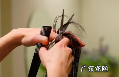 二月初二龙抬头为什么要剪头发 2022年二月二龙抬头这天能给小宝宝剃头吗