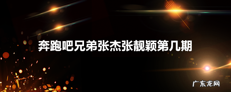 奔跑吧兄弟张杰张靓颖第几期