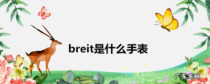 breit是什么手表