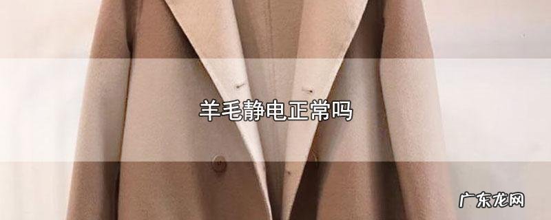 羊绒起静电是正常的吗