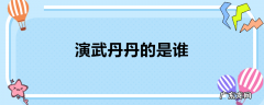 演武丹丹的是谁