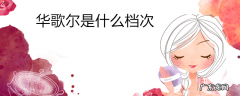 华歌尔是什么档次