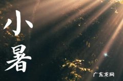 2023小暑是什么时候 今年小暑是几月几号几点
