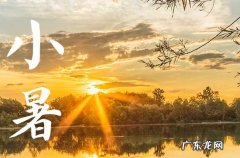 2023小暑是入伏的头一天吗 小暑是三伏天开始吗