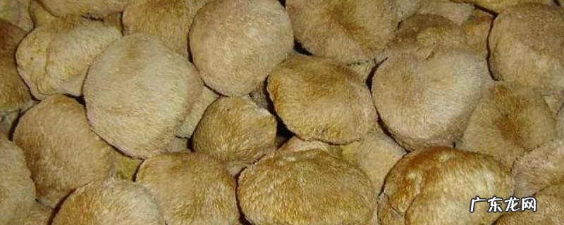 干猴头菇怎么吃,干猴头菇怎么吃做法