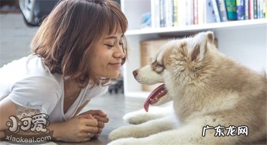 狗狗不能吃什么水果 狗狗不能吃什么