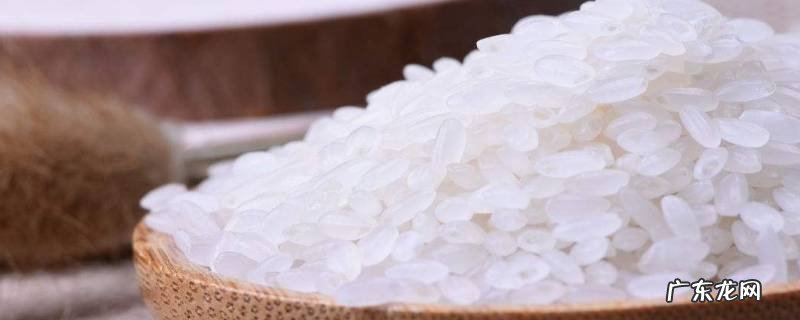 大米起了虫子还能吃吗,大米着了虫子还能吃吗