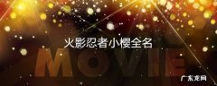 火影忍者小樱全名