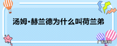 汤姆·赫兰德为什么叫荷兰弟