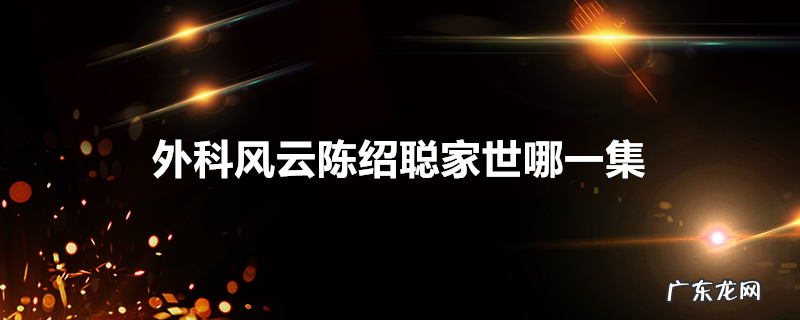外科风云陈绍聪家世哪一集