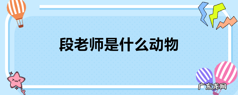 段老师是什么动物