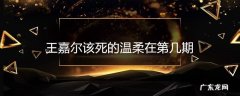 王嘉尔该死的温柔在第几期