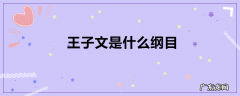 王子文是什么纲目