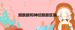 烟酰胺和神经酰胺区别