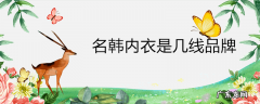 名韩内衣是几线品牌
