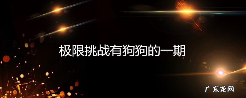 极限挑战有狗狗的一期