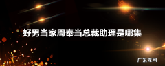 好男当家周奉当总裁助理是哪集