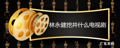 林永健挖井什么电视剧