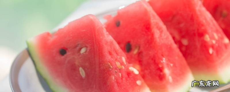 10斤的西瓜大概有多大,十斤西瓜多大一块图片