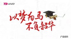 不负韶华是什么意思？韶华是什么,不负韶华是哪句歌词？