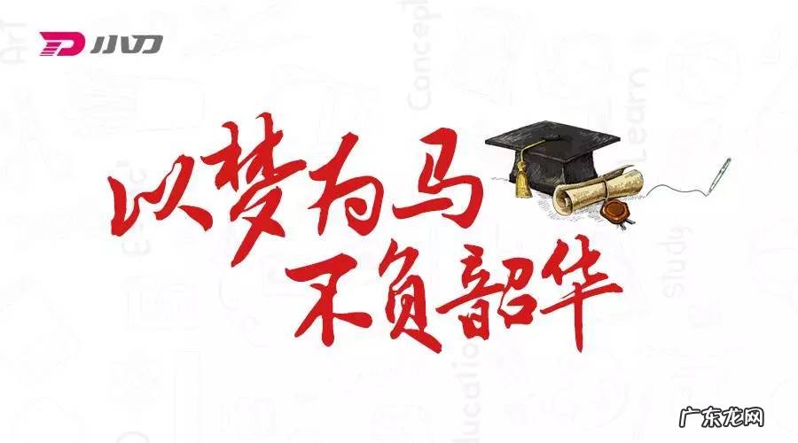 不负韶华是什么意思?韶华是什么,不负韶华是哪句歌词?