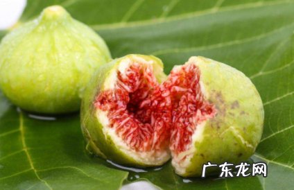 无花果要剥皮才能吃吗