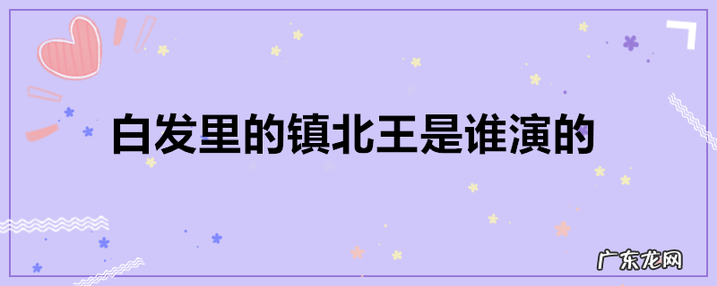 白发里的镇北王是谁演的