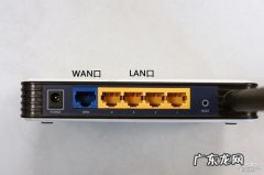 LAN是什么接口