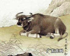 事业发达的生肖有哪些？这些生肖的人,注定会发达!