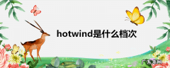 hotwind是什么档次