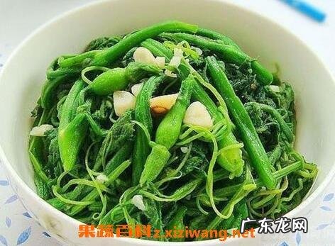 南瓜头有什么功效与作用