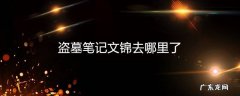 盗墓笔记文锦去哪里了