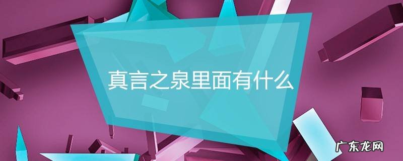 真言之泉里面有什么