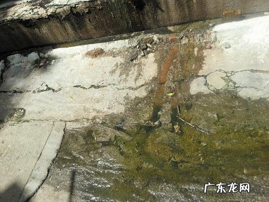 化粪池堵了最高会溢到几层