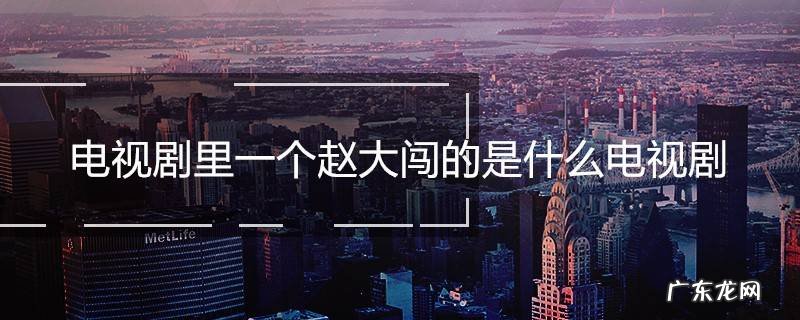 电视剧里一个赵大闯的是什么电视剧