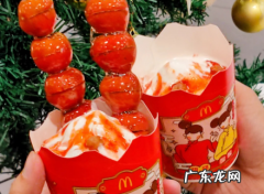 麦当劳麦旋风是什么东西多少钱 麦当劳冰糖葫芦麦旋风多少钱一个
