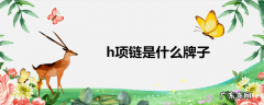h项链是什么牌子