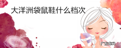 大洋洲袋鼠鞋什么档次