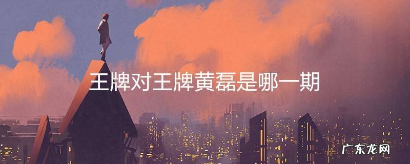 王牌对王牌黄磊是哪一期