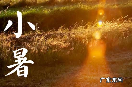 2023年小暑的具体时间 2023年小暑是农历几月几号啊