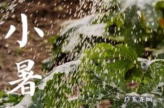 2023年小暑是几月几号 2023年小暑是几点几分