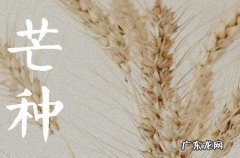 芒种是几月几日2023,今年芒种是几月几日