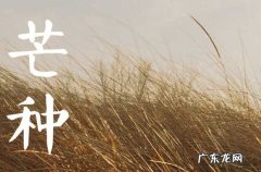 2023年芒种是哪一天,2023芒种是什么时候