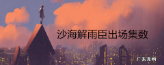 沙海解雨臣出场集数
