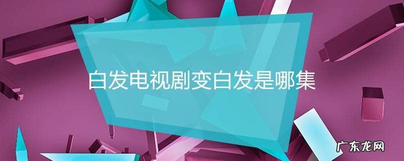白发电视剧变白发是哪集