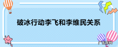 破冰行动李飞和李维民关系