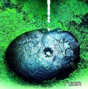 滴水穿石和水滴石穿哪个正确