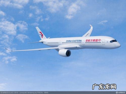 东航空客20n是小飞机么?东航小飞机是什么型号?